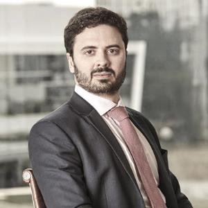 Responsabilidade dos sócios e a desconsideração da personalidade ...  Migalhas