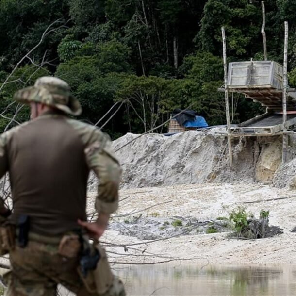 Justiça manda leiloar mineral extraído ilegalmente de terras Yanomami   Migalhas