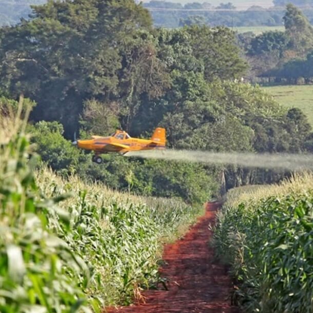 Maioria do STF proíbe pulverização aérea de agrotóxicos no Ceará    Migalhas