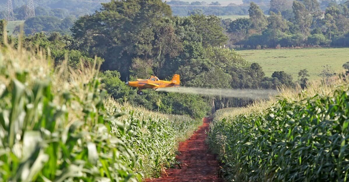 Maioria do STF proíbe pulverização aérea de agrotóxicos no Ceará    Migalhas