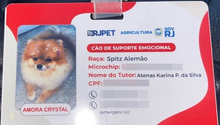  (Imagem: Reprodução/G1)