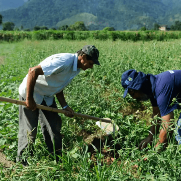 Nova lei beneficia agricultor familiar atingido por desastre natural   Migalhas