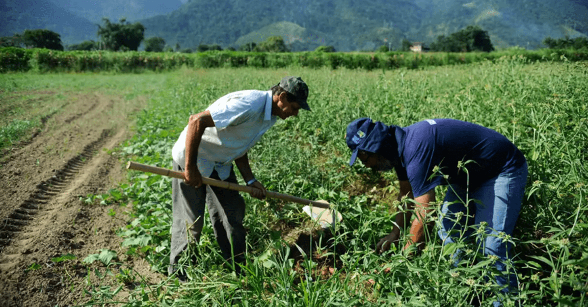 Nova lei beneficia agricultor familiar atingido por desastre natural   Migalhas