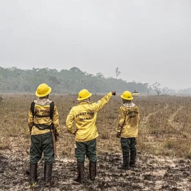 Dino estabelece orçamento de emergência para combate a incêndios   Migalhas