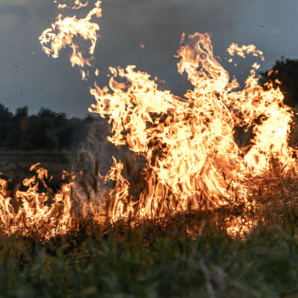 Incêndio por falha elétrica gera indenização a produtora rural   Migalhas