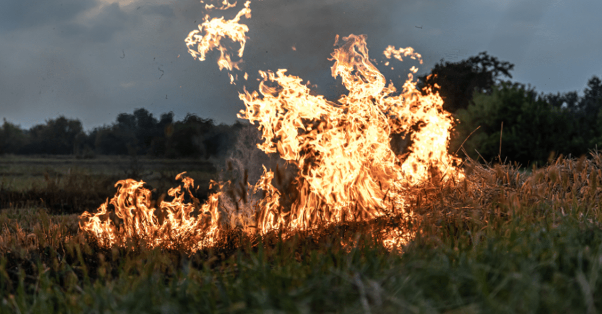 Incêndio por falha elétrica gera indenização a produtora rural   Migalhas