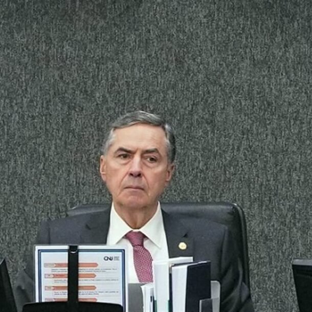 imagem20-11-2024-05-11-29