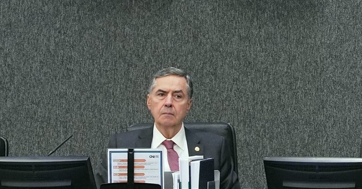 imagem20-11-2024-05-11-29
