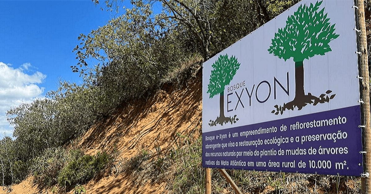 Projeto Bosque E Xyon promove reflorestamento em Rio Bonito   Migalhas