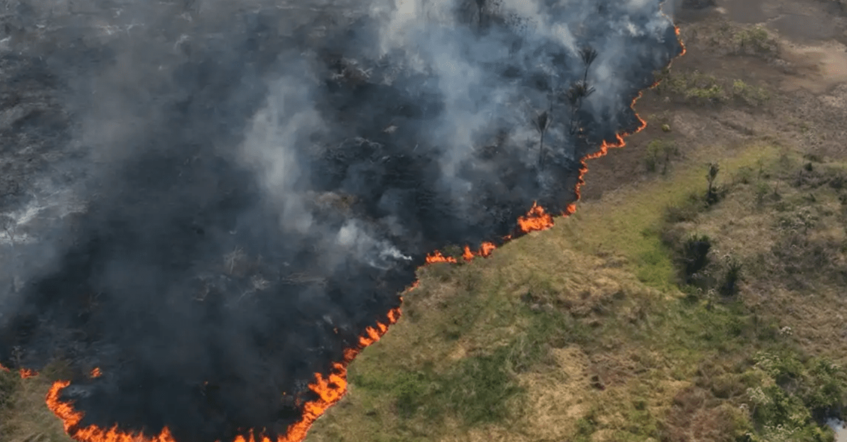 STF veda processos de combate a incêndios na Amazônia e no Pantanal   Migalhas
