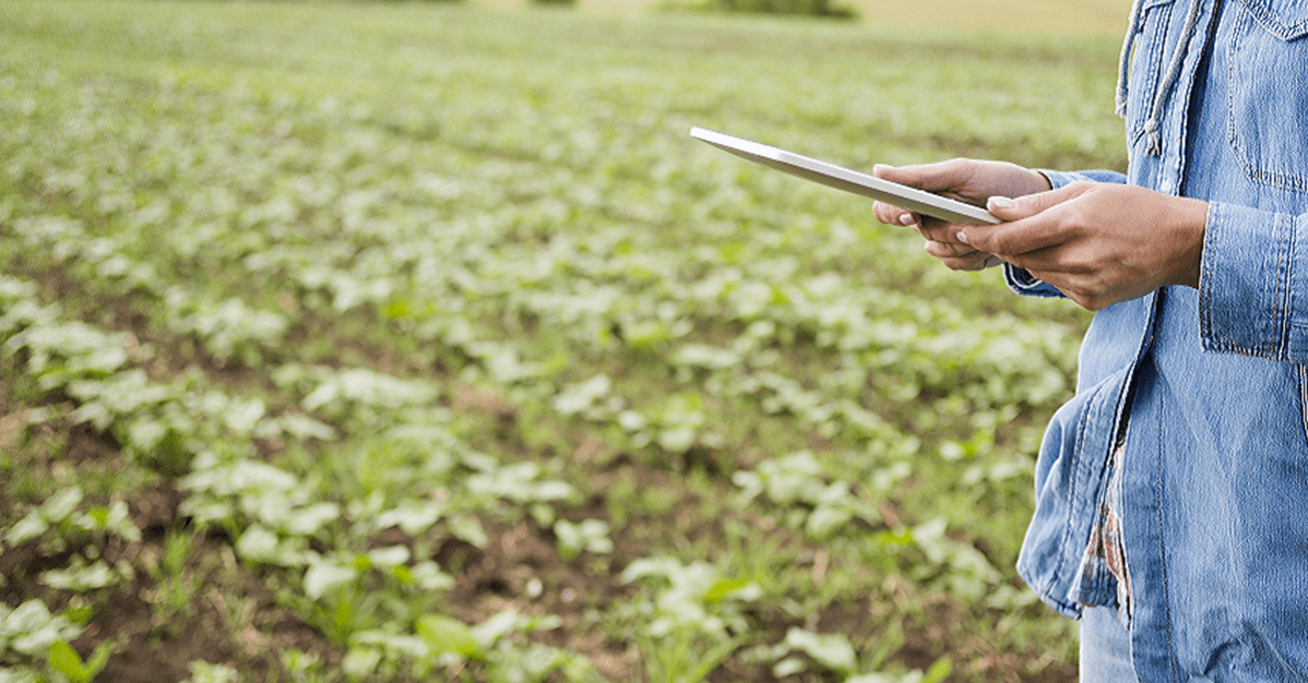 Advogado analisa regulações para o agronegócio em 2025   Migalhas