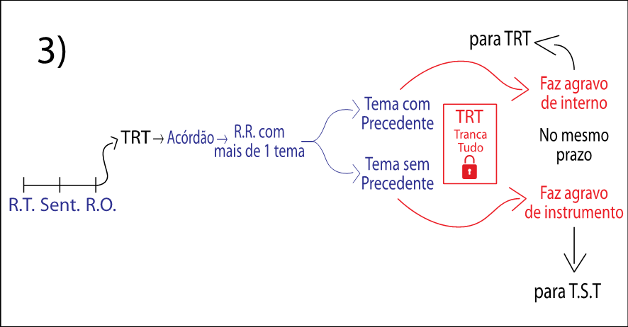 imagem18-01-2025-07-01-46