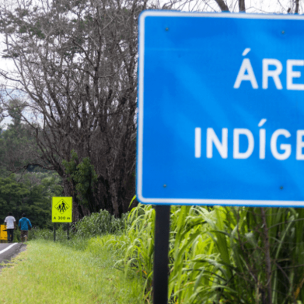Mendonça suspende decreto que homologou terra indígena em SC   Migalhas