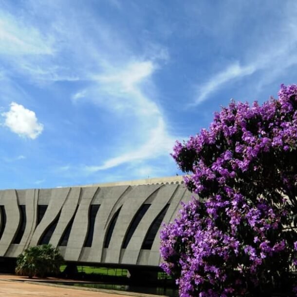 STJ regulamenta novo plenário virtual; sustentações serão gravadas   Migalhas
