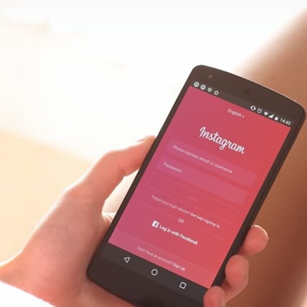 TJ/GO fixa prazo de 5 dias para Facebook reativar conta no Instagram   Migalhas