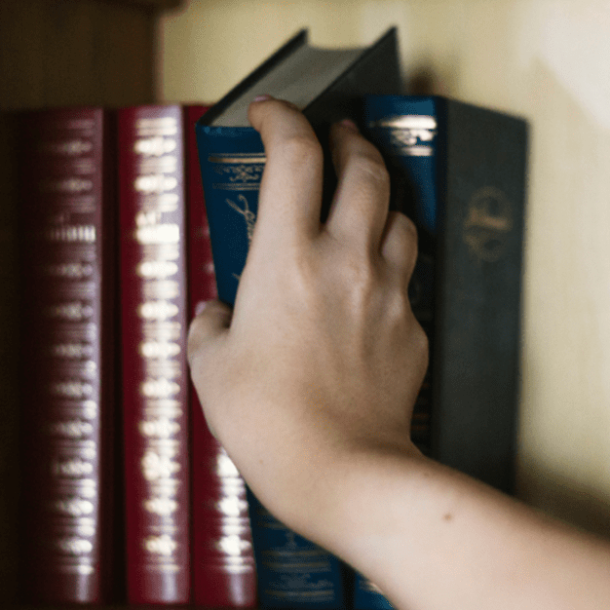 Dino pede vista em ação que discute lei que impõe bíblia em biblioteca   Migalhas